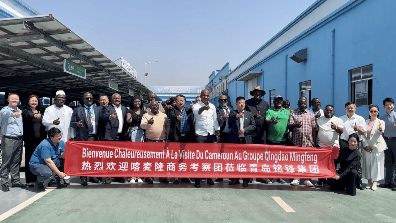 携手共“桩”未来！喀麦隆商务代表团莅临电